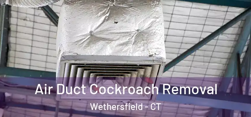 Air Duct Cockroach Removal Wethersfield - CT