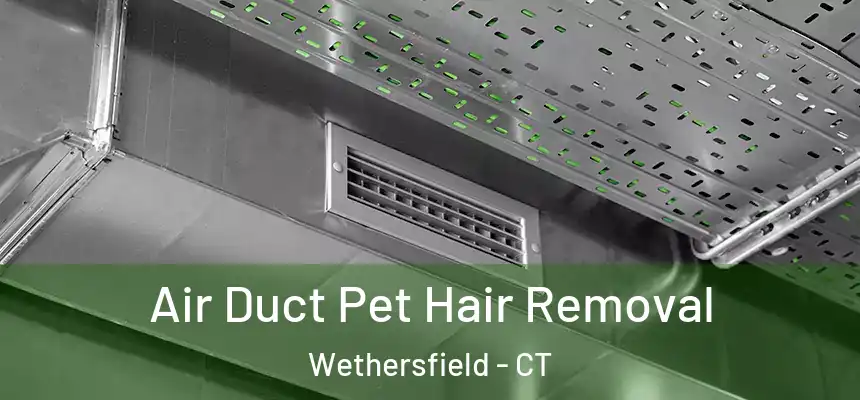  Air Duct Pet Hair Removal Wethersfield - CT
