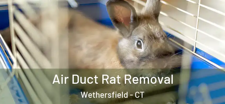  Air Duct Rat Removal Wethersfield - CT
