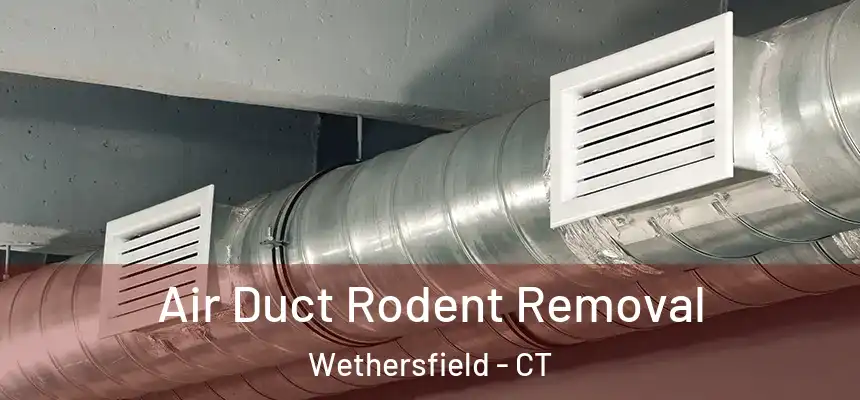  Air Duct Rodent Removal Wethersfield - CT