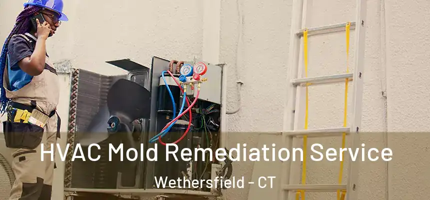 HVAC Mold Remediation Service Wethersfield - CT
