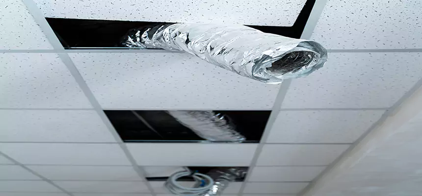 Affordable HVAC Sanitizing After Pest Removal in Wethersfield