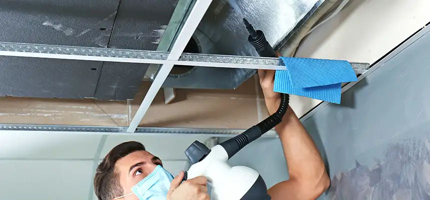 Our Air Duct Rodent Removal Services in Wethersfield, CT