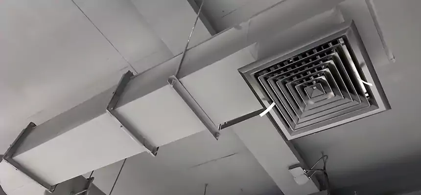 Our Pest Removal From Ducts Services in Wethersfield, CT