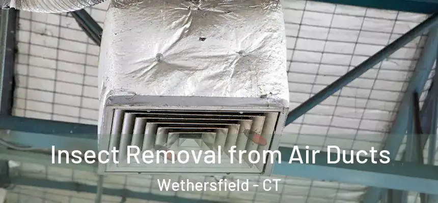 Insect Removal from Air Ducts Wethersfield - CT