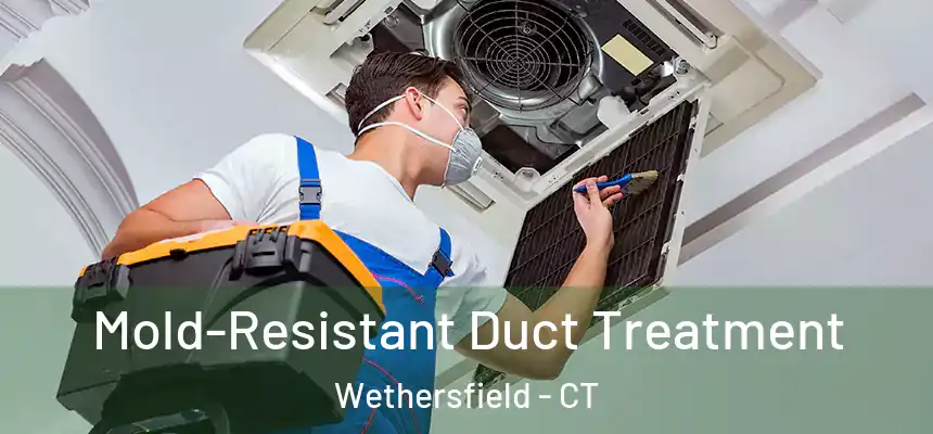  Mold-Resistant Duct Treatment Wethersfield - CT