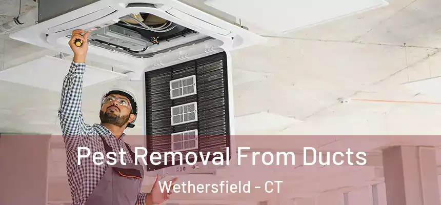 Pest Removal From Ducts Wethersfield - CT