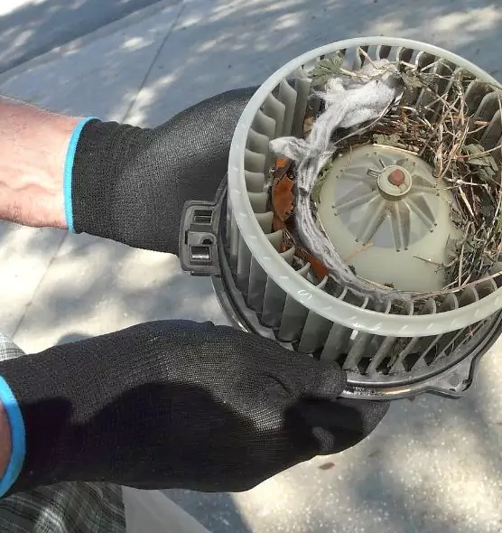 About Air Duct Mice Removal in Wethersfield, CT