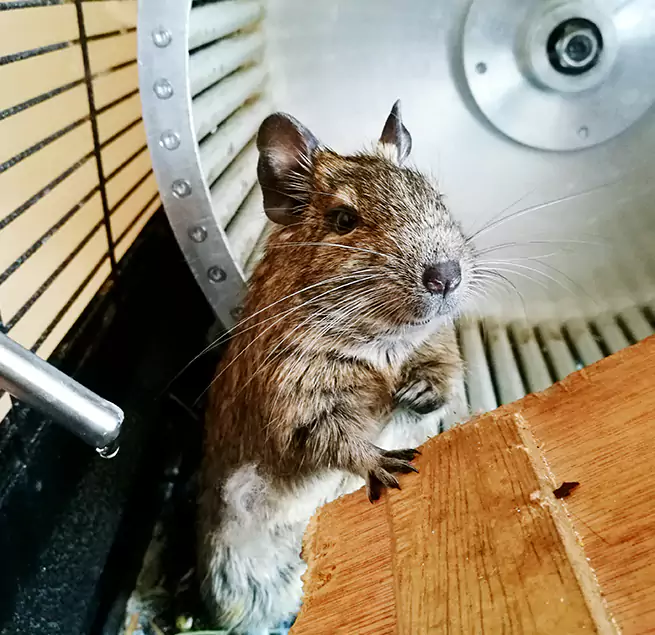 Why Homeowners & Businesses Trust Us Wethersfield, CT